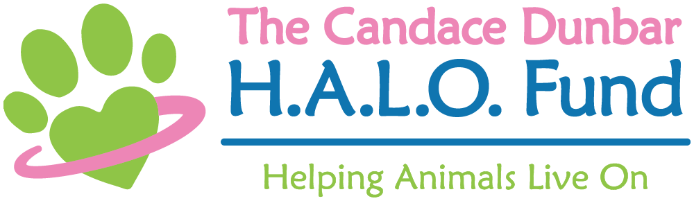 HALO fund logo