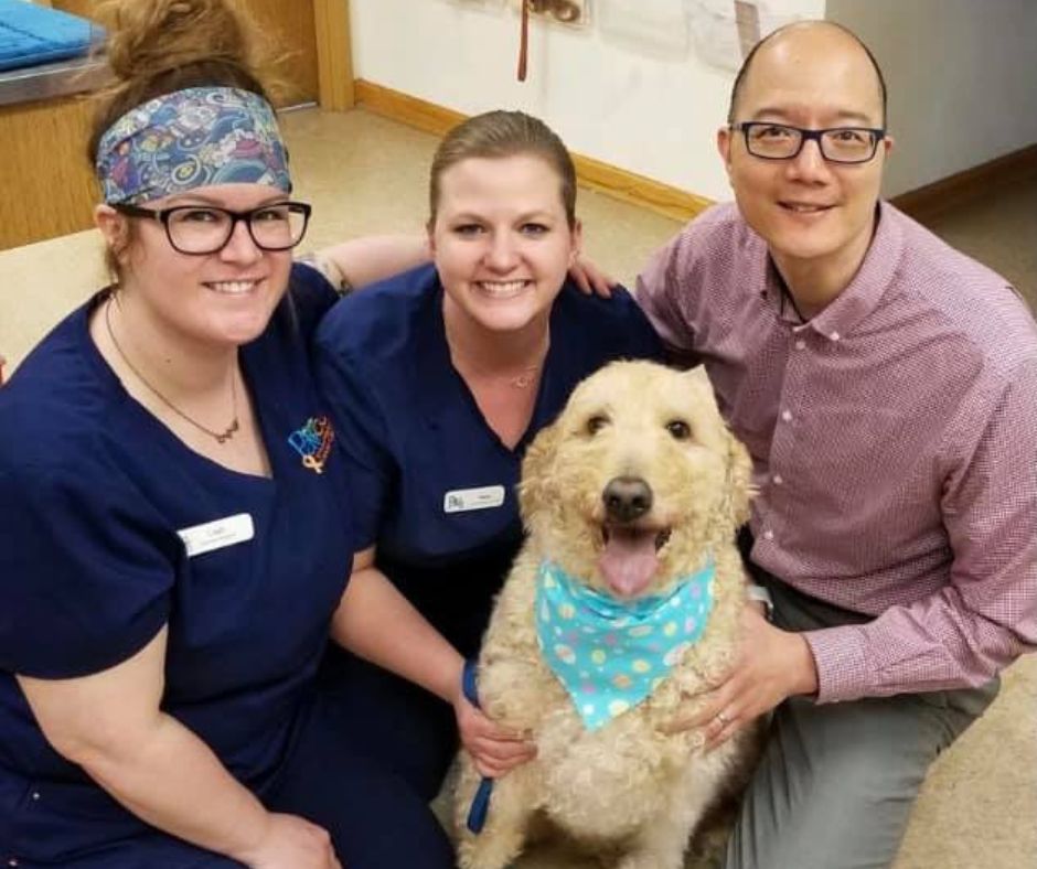 dog with doctors